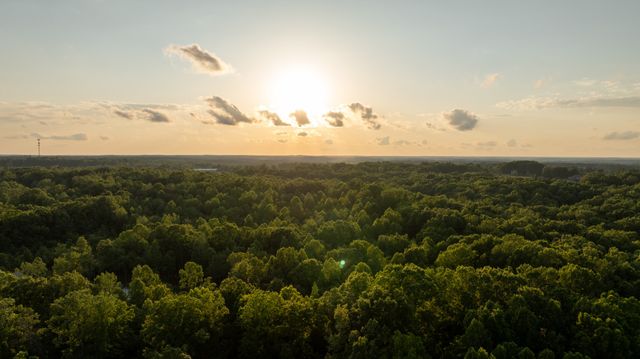 8012 Rose Ridge Pvt Lane, Fairview, TN 37062