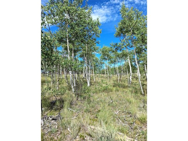 1210 Kiowa St, Como, CO 80432