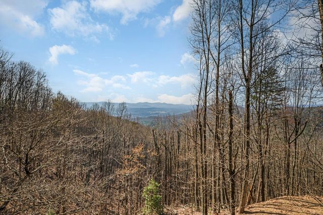 170 Walnut Ridge, Ellijay, GA 30536