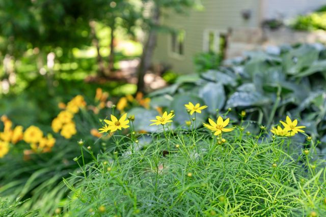 16158 Xenia Street NW, Andover, MN 55304