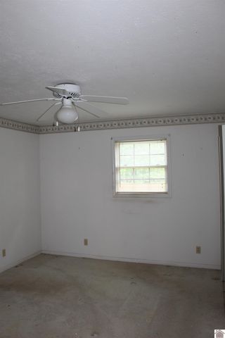 99 Lisa Lane, Symsonia, KY 42082