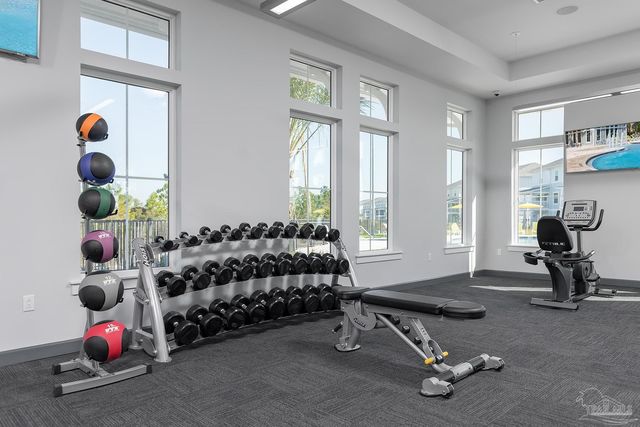 14158 Sable Palm Way LOT 243, Perdido Key, FL 32507