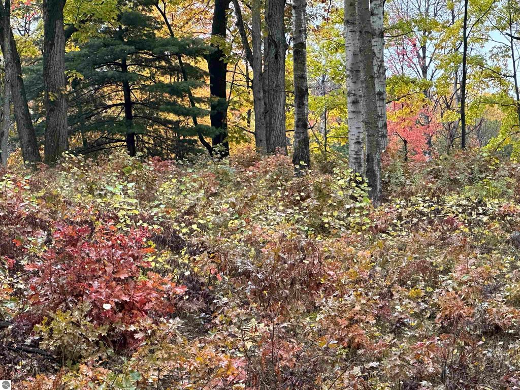 Image 2 of property listing at Lot #5 N Circle E, Farwell, MI 48622