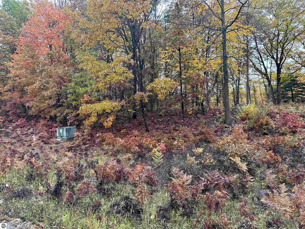 Image 3 of property listing at Lot #5 N Circle E, Farwell, MI 48622