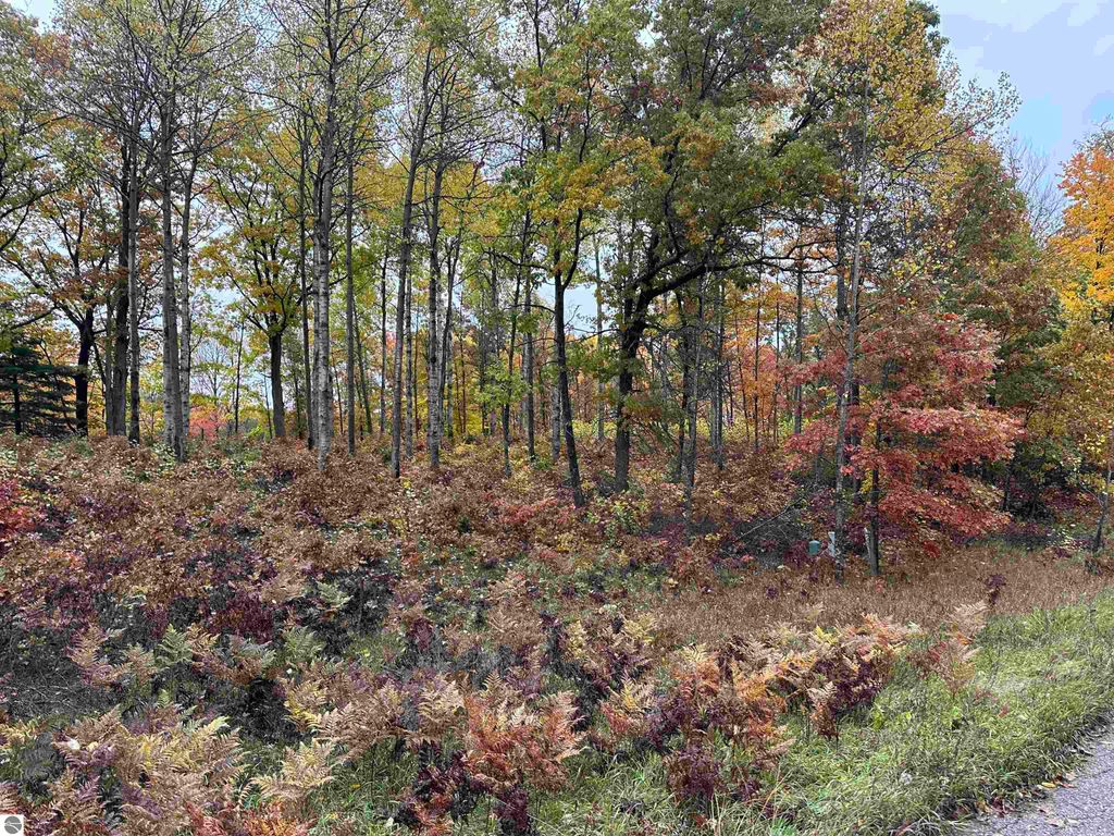 Image 4 of property listing at Lot #5 N Circle E, Farwell, MI 48622