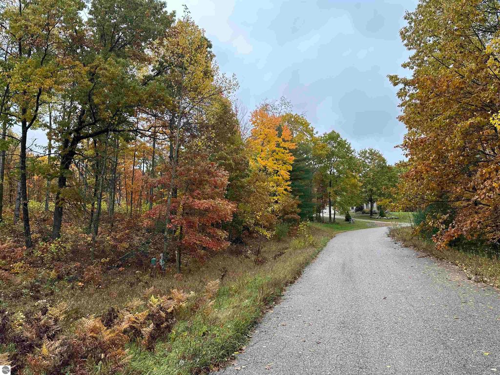 Image 5 of property listing at Lot #5 N Circle E, Farwell, MI 48622