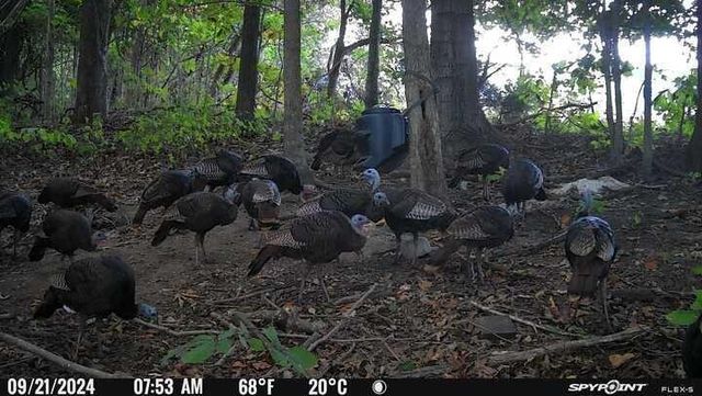 732 Highway 558, Albany, KY 42602