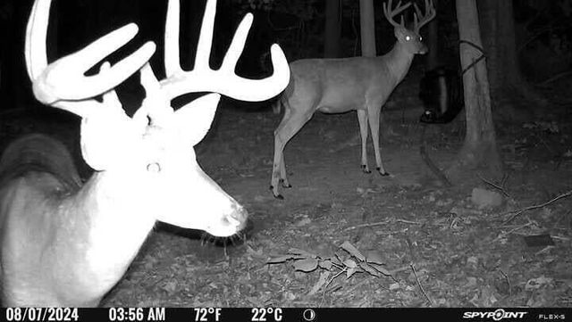 732 Highway 558, Albany, KY 42602