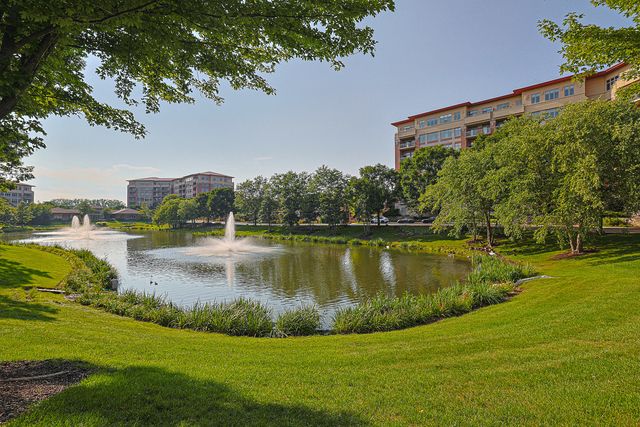 40 Prairie Park Drive 601, Wheeling, IL 60090