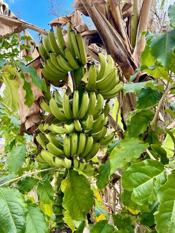 6685 Lakeside Road, West Palm Beach, FL 33411