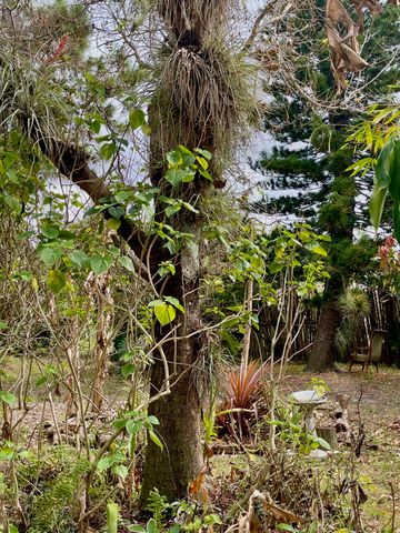 6685 Lakeside Road, West Palm Beach, FL 33411