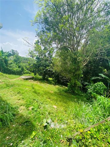 12 HH Rivera Quebrada Cru HH RIVERA, Toa Alta, PR 00953