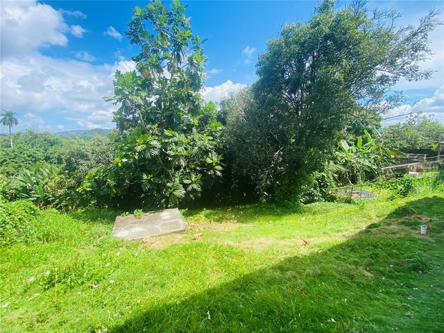 12 HH Rivera Quebrada Cru HH RIVERA, Toa Alta, PR 00953