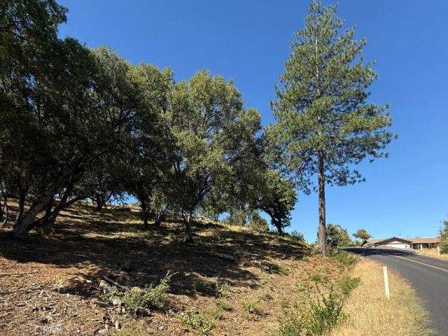 5710 Clouds Rst, Mariposa, CA 95338