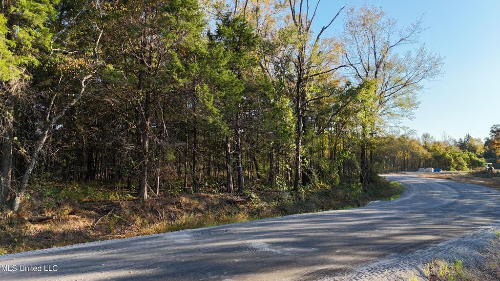 13 Tyro Branch Cove, Senatobia, MS 38668 — photo 3
