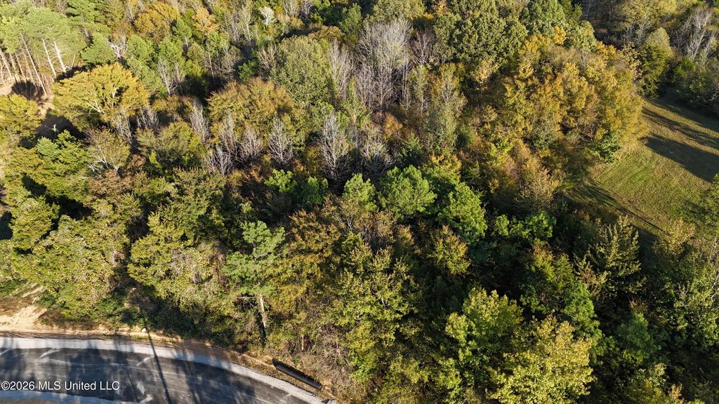 13 Tyro Branch Cove, Senatobia, MS 38668 — photo 4