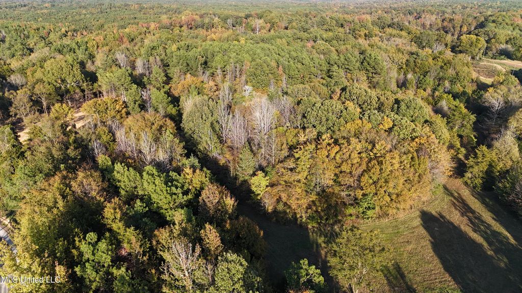 13 Tyro Branch Cove, Senatobia, MS 38668 — photo 5