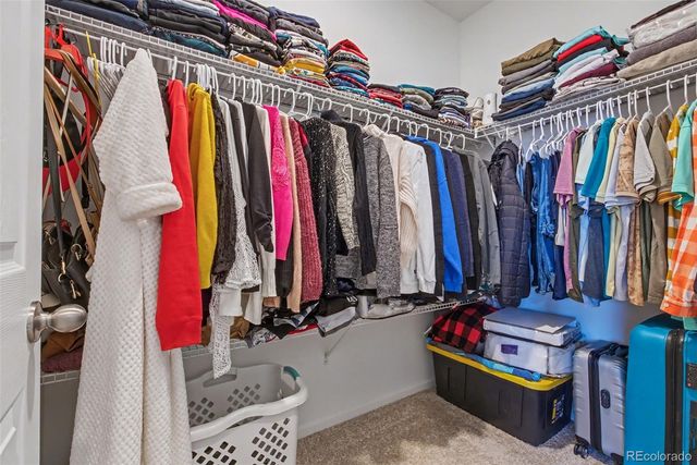 8731 Snake River Street, Littleton, CO 80125