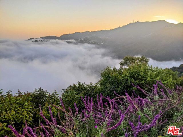 2195 Little Las Flores, Topanga (los Angeles), CA 90290