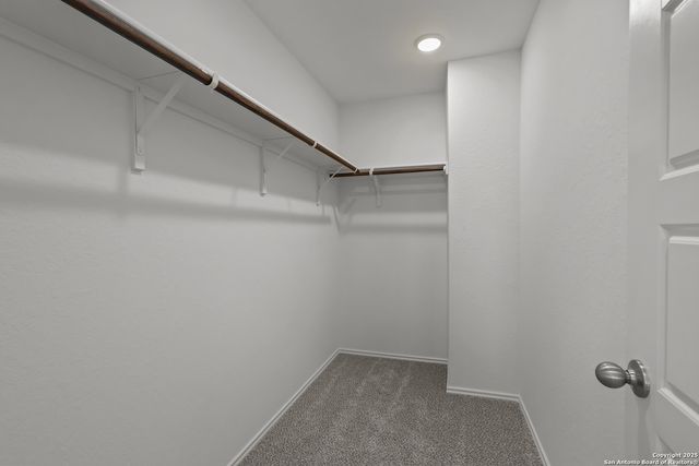 2534 Dry Moss Way, San Antonio, TX 78224