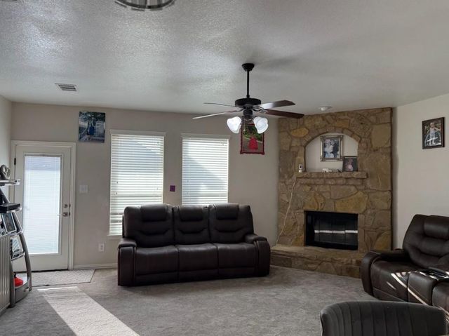 117 E Emory Fields DR, Hutto, TX 78634