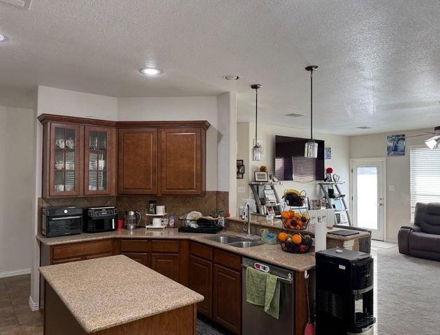 117 E Emory Fields DR, Hutto, TX 78634