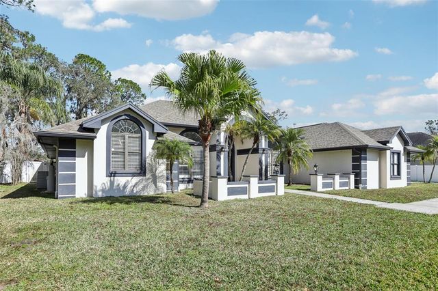 1010 EMERALD CREEK DRIVE, Valrico, FL 33596