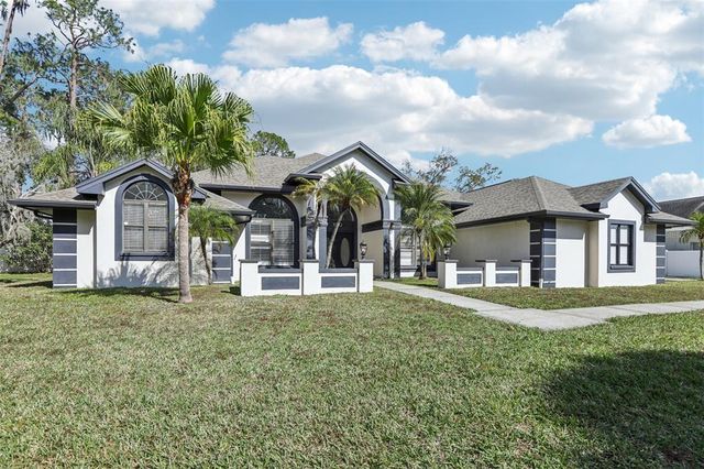 1010 EMERALD CREEK DRIVE, Valrico, FL 33596