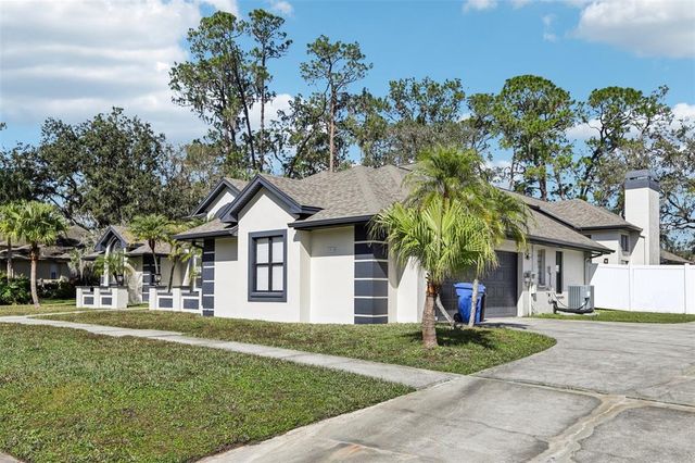 1010 EMERALD CREEK DRIVE, Valrico, FL 33596