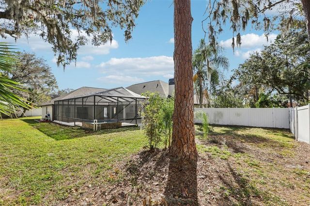 1010 EMERALD CREEK DRIVE, Valrico, FL 33596