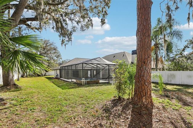 1010 EMERALD CREEK DRIVE, Valrico, FL 33596