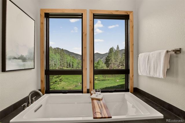 338 Red Lily Place, Evergreen, CO 80439
