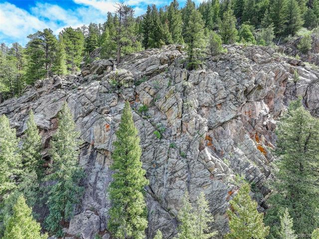 338 Red Lily Place, Evergreen, CO 80439