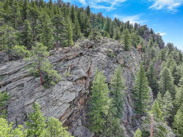 338 Red Lily Place, Evergreen, CO 80439