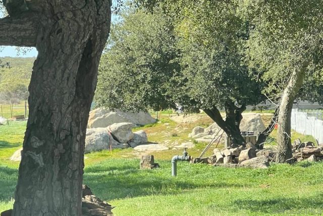 1122 Tierra Del Sol, Boulevard, CA 91905