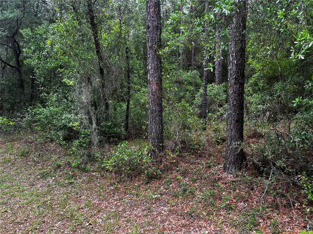 TBD SW 186TH CT., Dunnellon, FL 34432