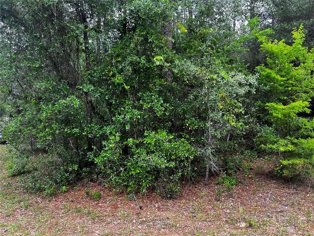 TBD SW 186TH CT., Dunnellon, FL 34432