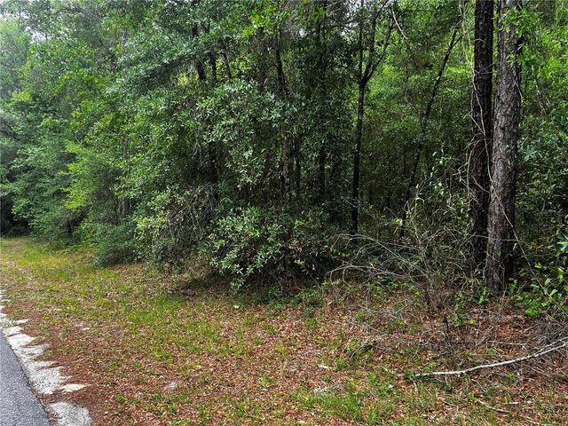 TBD SW 186TH CT., Dunnellon, FL 34432