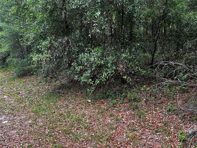 TBD SW 186TH CT., Dunnellon, FL 34432