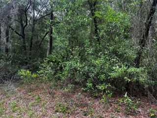 TBD SW 186TH CT., Dunnellon, FL 34432