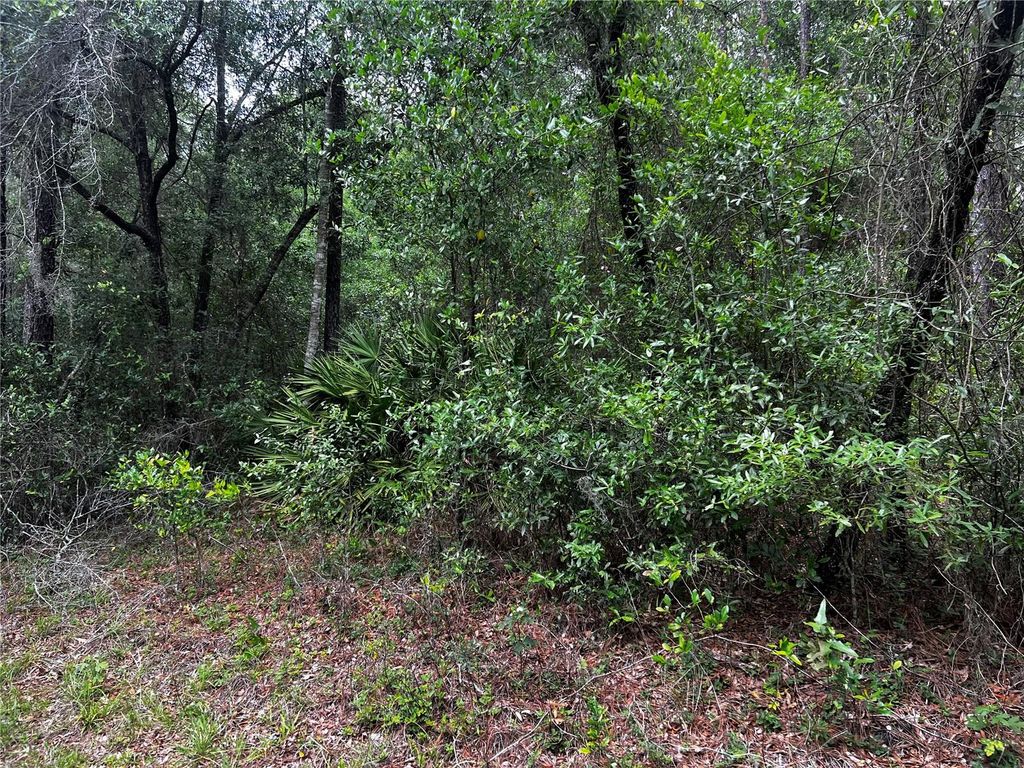 TBD SW 186TH CT., Dunnellon, FL 34432
