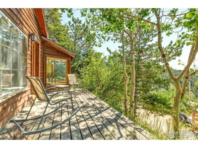 57 Nelson St, Ward, CO 80481