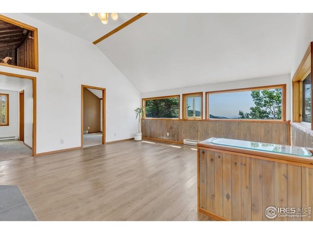 57 Nelson St, Ward, CO 80481