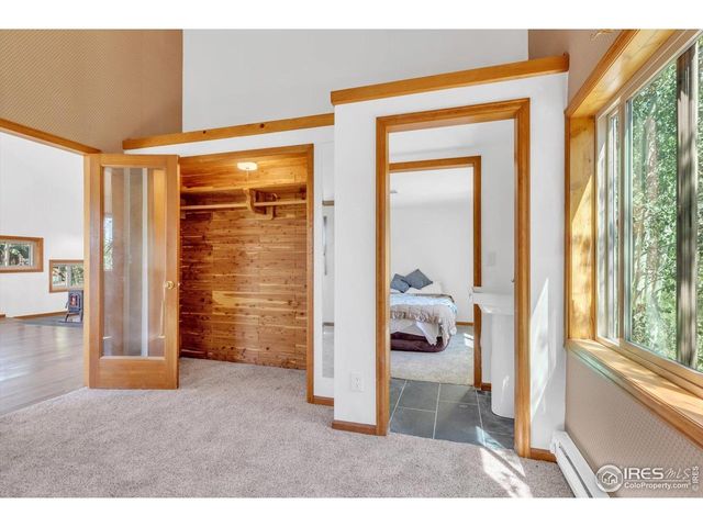 57 Nelson St, Ward, CO 80481