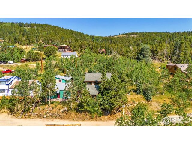 57 Nelson St, Ward, CO 80481