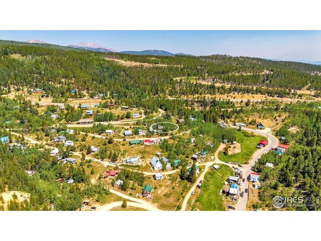 57 Nelson St, Ward, CO 80481