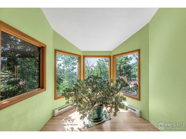 57 Nelson St, Ward, CO 80481