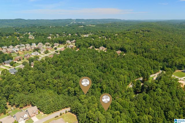 1035 OVERLOOK DRIVE, Trussville, AL 35173