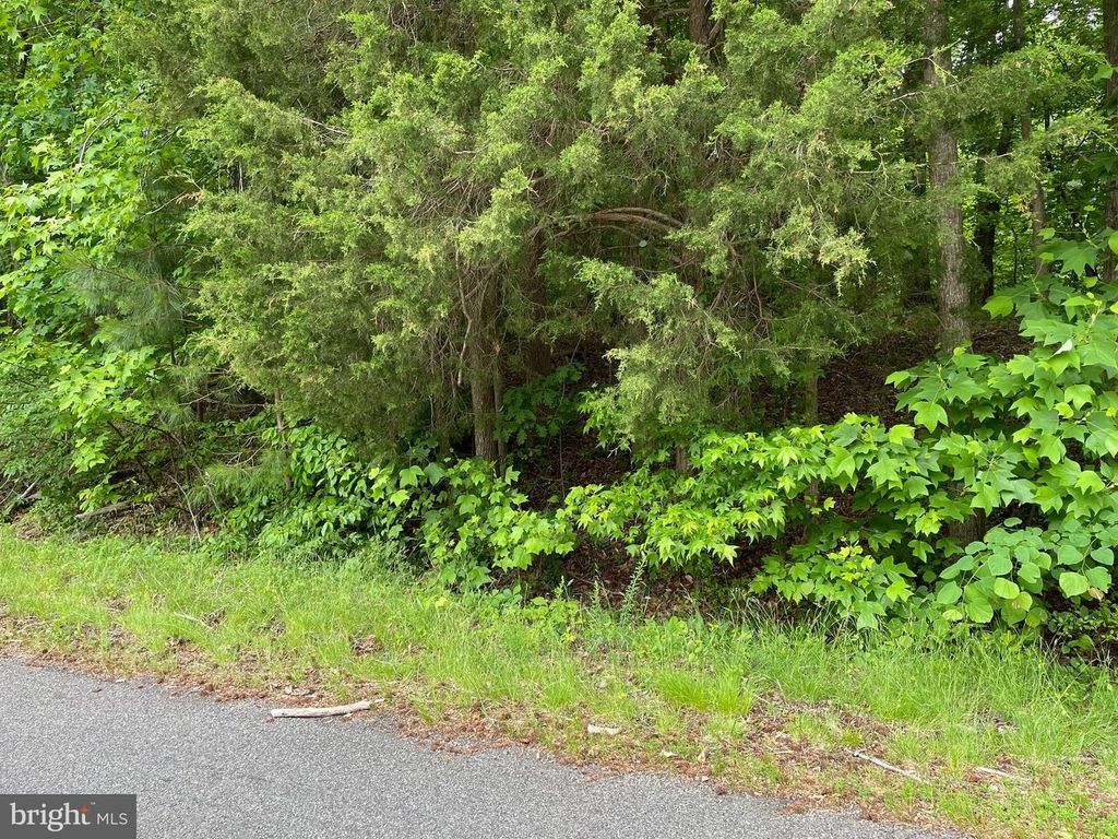 BAY POINTE DR, Montross, VA 22520