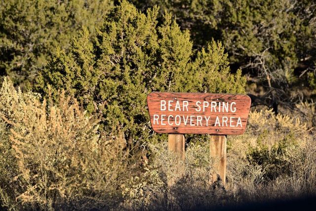 1747 DEER CANYON Trail, Mountainair, NM 87036